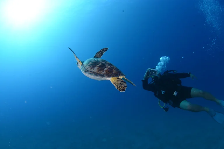 Scuba Diving Antalya — Guided Dives from Antalya Marina